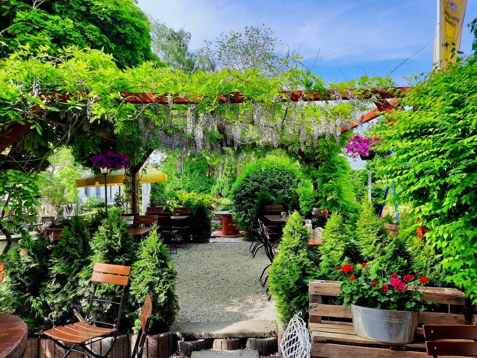 Biergarten mit blühender Glyzinie über der Pergola