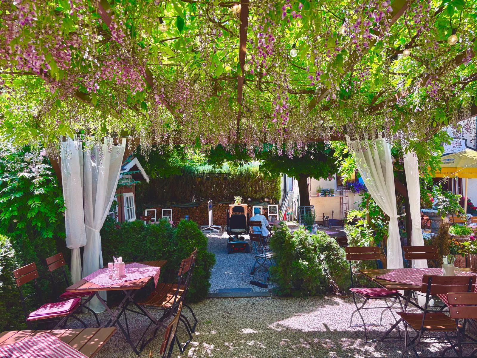 Die Pergola im Biergarten mit blühenden Glyzinien und Blumenkästen